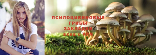 a pvp Вязники