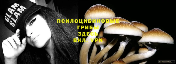 a pvp Вязники