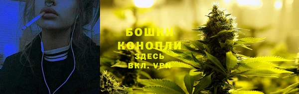 дмт Мегион