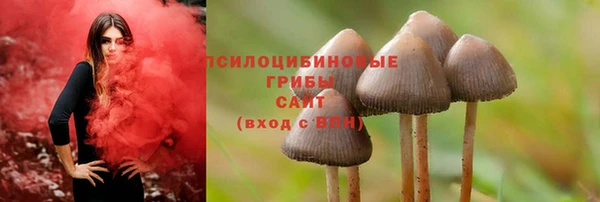a pvp Вязники