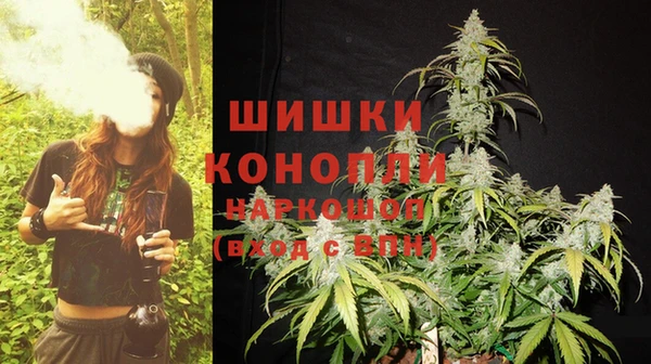 spice Вязьма