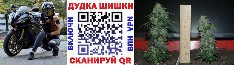 Шишки марихуана планчик  Няндома 